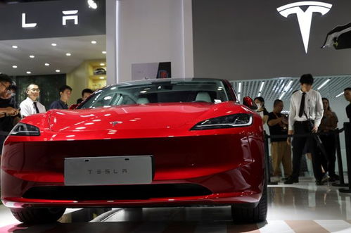 电瓶汽车特斯拉多少价格 电瓶汽车特斯拉多少价格