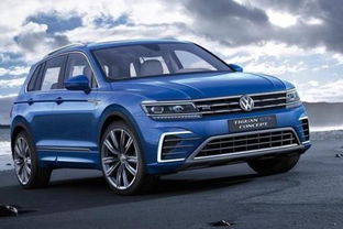 大众汽车v6多少钱 大众汽车v6多少钱