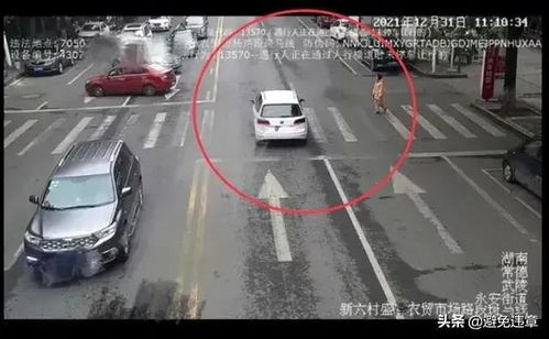 常德汽车视觉检测多少钱