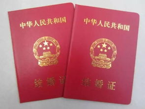 补办汽车登记证多少钱