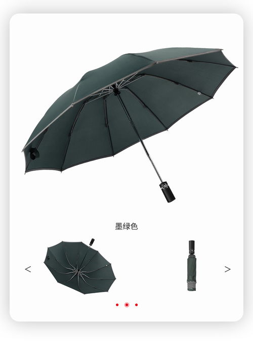 汽车安全伞多少费用 汽车安全伞多少费用