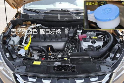 汽车加水加多少
