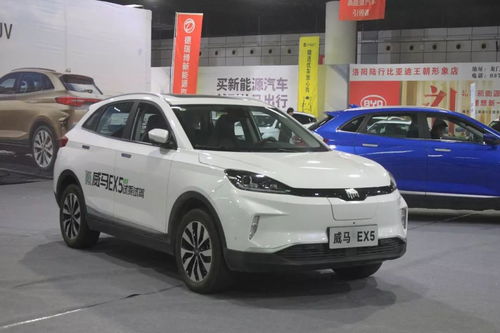 洛阳能源汽车售价多少