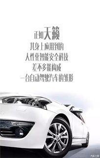 威姆大师汽车膜多少钱 威姆大师汽车膜多少钱
