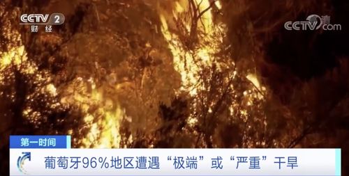 以色列因山火宣布进入国家紧急状态
