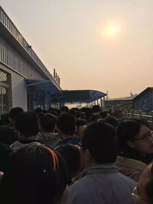 多个景区拥挤程度堪比超市发鸡蛋