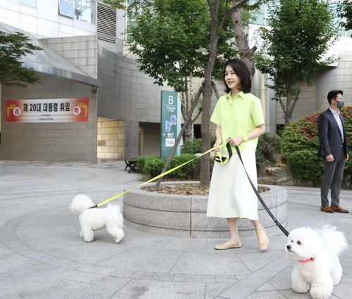 尹锡悦被拍到在公园“悠闲遛狗”
