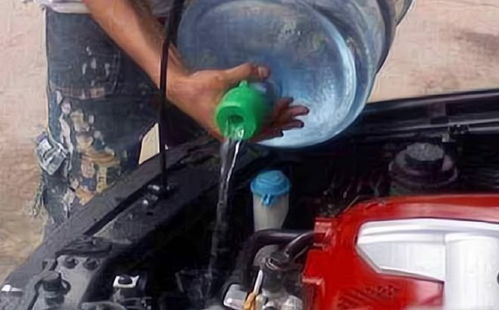 汽车水箱多少天(汽车水箱的重要性及其维护周期解析) 汽车水箱多少天(汽车水箱的重要性及其维护周期解析)