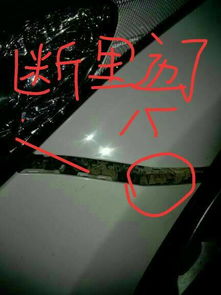 小汽车换后保险杠多少钱(小汽车换后保险杠的费用解析) 小汽车换后保险杠多少钱(小汽车换后保险杠的费用解析)