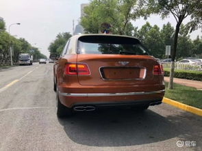 绵阳至南冲汽车票多少钱(绵阳至南冲汽车票价详解，费用、路线与行程建议)