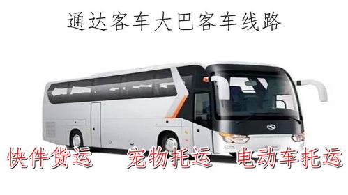 合肥到临泉包汽车多少钱(合肥到临泉包车的费用分析)