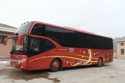 黄陵至蒲城汽车票多少钱(黄陵至蒲城汽车票价查询及相关旅行信息)