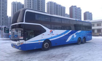 和龙至延吉汽车票多少钱(和龙至延吉汽车票价查询，旅途成本与选择的艺术)