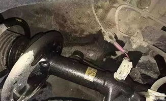 汽车减震器逍客多少钱(汽车减震器逍客价格解析)