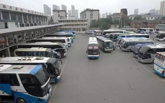泰安到潍坊汽车站多少钱(泰安到潍坊汽车站的价格及旅行指南) 泰安到潍坊汽车站多少钱(泰安到潍坊汽车站的价格及旅行指南)