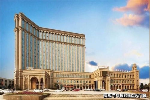 汽车空调雪博士多少钱(汽车空调雪博士价格解析，多少钱？