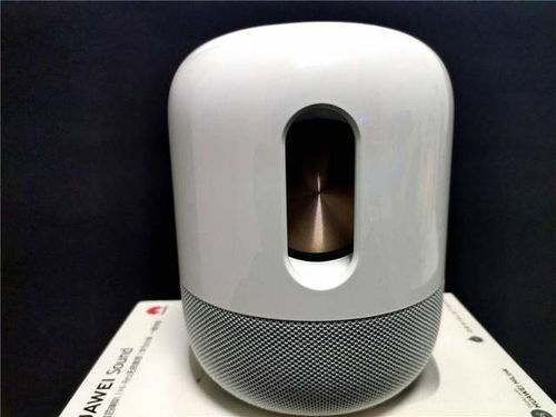 华为sound怎么连接电脑音箱(华为Sound连接电脑音箱的详细步骤与操作指南) 华为sound怎么连接电脑音箱(华为Sound连接电脑音箱的详细步骤与操作指南)