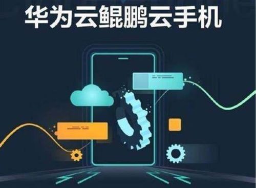 华为纽扣怎么连接电脑(华为纽扣连接电脑,操作指南与解析) 华为纽扣怎么连接电脑(华为纽扣连接电脑,操作指南与解析)