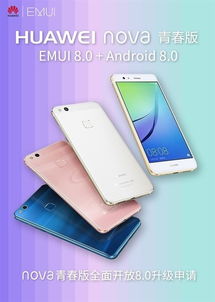 华为手机怎么升级8.0 华为手机怎么升级8.0