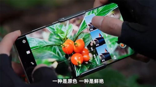 华为手机怎么拍摄森林 华为手机怎么拍摄森林
