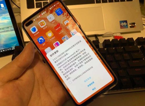 华为手机怎么内测鸿蒙 华为手机怎么内测鸿蒙