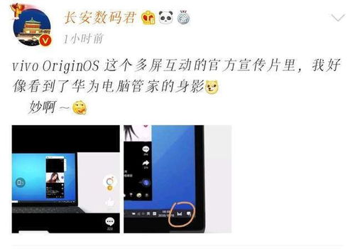 荣耀手机和华为手机怎么联动 荣耀手机和华为手机怎么联动