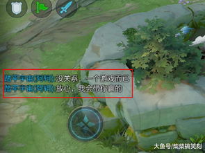 香草游戏攻略 VS 计算游戏攻略 香草游戏攻略 VS 计算游戏攻略