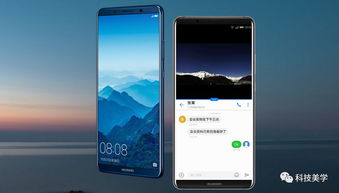 华为手机版本怎么选择 华为手机版本怎么选择