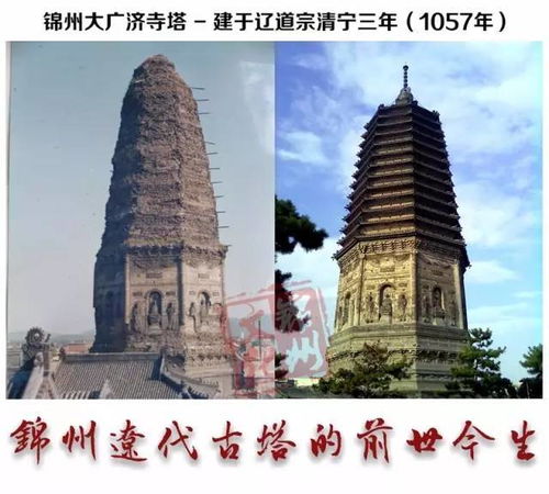 辽宁一逾800年辽代古塔石缝频现长蛇