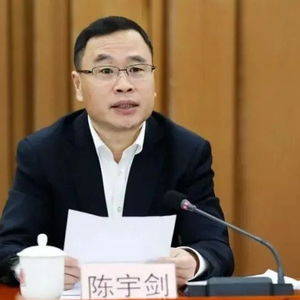 陈宇剑被免去上海市副市长职务