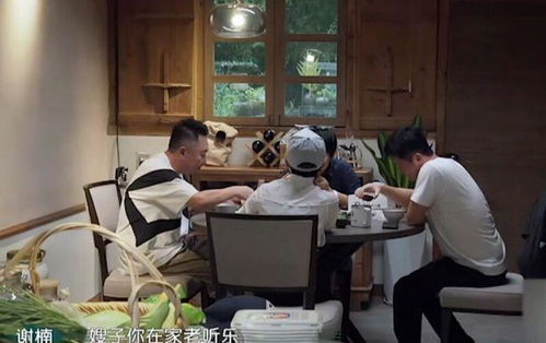 小忙乐园游戏攻略 VS 游戏攻略指北是哪个游戏