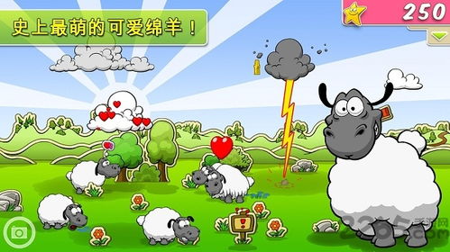 饲养小绵羊游戏大全攻略 VS 陷阱游戏攻略 饲养小绵羊游戏大全攻略 VS 陷阱游戏攻略