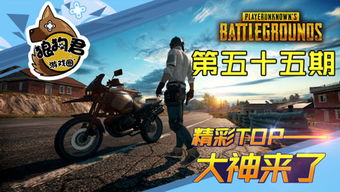 大狼狗游戏攻略 VS 侄子游戏攻略
