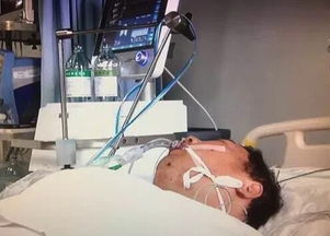 谢贤曾昏迷进ICU强撑到谢霆锋回港 谢贤曾昏迷进ICU强撑到谢霆锋回港