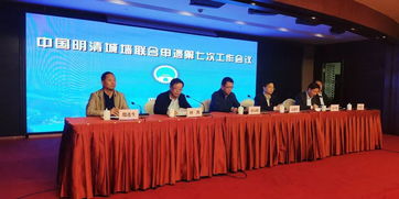 申遗成功后 中方代表嘴角压不住了 申遗成功后 中方代表嘴角压不住了