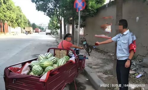 河南瓜农控诉有网红博流量低价收瓜 河南瓜农控诉有网红博流量低价收瓜