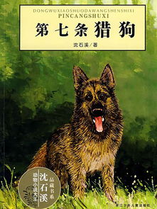 猎犬之王游戏攻略 VS 小游戏新猛鬼宿舍攻略