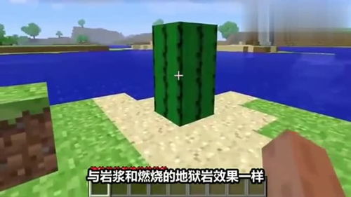 摇滚年代仙人掌攻略游戏 VS 战国七雄桌面游戏攻略