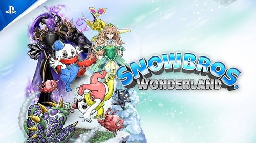 漂亮游戏攻略 VS 雪人兄弟15关攻略游戏