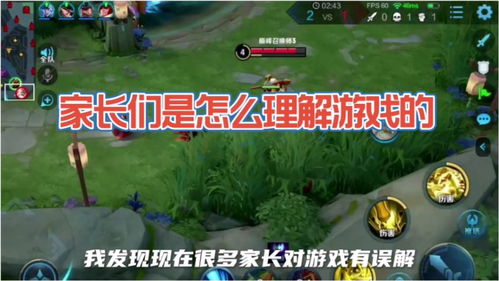 小游戏家庭游戏攻略视频 VS 袁隆平游戏攻略