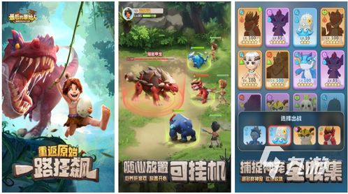 callofwild游戏攻略 VS 宠物解密攻略游戏