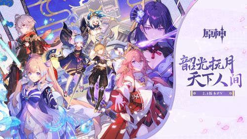 神嫁游戏攻略 VS 阿姨攻略游戏