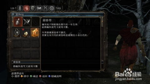 暗黑2出货游戏攻略 VS 能攻略游戏